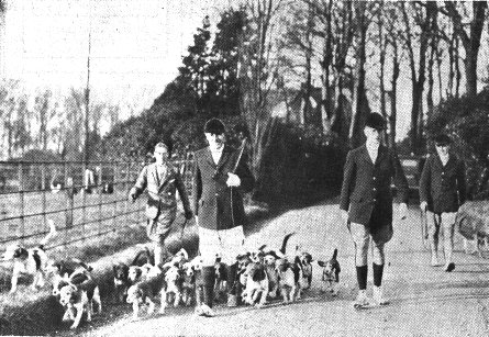 Photo of the Oakenclough Hounds with the Master (Harold Jackson Jnr.), leaving the grounds of The Villa on the occasion of their annual run in the Wrea Green district,1935.