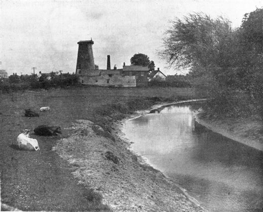 Photograph of Pilling Windmill in 1930.