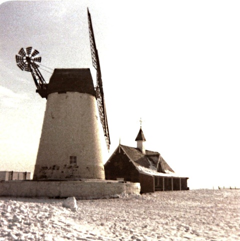 snowscene 1981